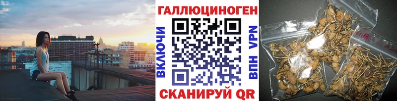кракен tor  Порхов  Галлюциногенные грибы Psilocybe 