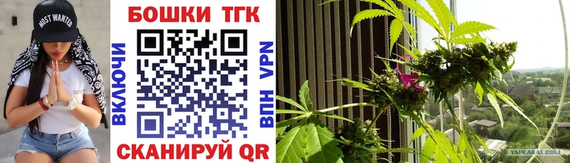 Бошки Шишки марихуана  Порхов 